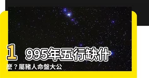 1995屬豬男名字|【1995年 五行】1995年五行屬什麼？揭曉你的命理密碼！